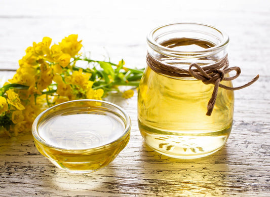 Miód Rzepakowy: Energia Z Polskich Pól – Szybka Krystalizacja, Wielka Moc